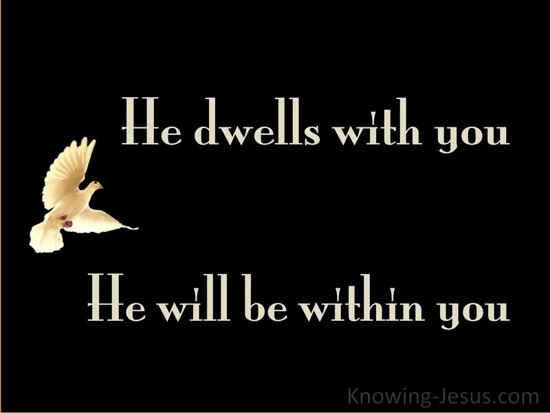 John 14:17 He Will Be In You (black)